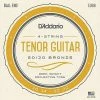 Empire Guitars D'Addario EJ66 80/20 Bronze Tenor Acoustic Guitar Strings 10-32 Accessories