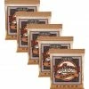 Empire Guitars Accessories Ernie Ball Earthwood Acoustic Guitar Strings 5 Packs (13-56) *Free Shipping In The USA*