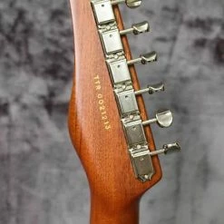 Empire Guitars Electric 2012 Michael Spalt Sybil Resin Top