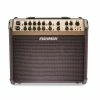 Empire Guitars Fishman PRO-LBT-600 Acoustic Combo Amp *Free Shipping In The USA*