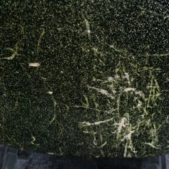 Bass Magnatone Hurricane