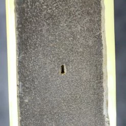 Budget ✨ Empire Guitars 1950's Oahu Iolana Lap Steel ✨ 28 Empire Guitars 1950's Oahu Iolana Lap Steel