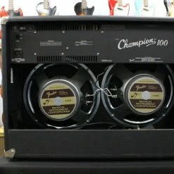 Fender Musical Instruments Fender Champion 100 Combo