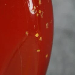 Discount ✔️ Empire Guitars 2001 Fender American Vintage '62 Reissue Jazz Bass 😍 16 Empire Guitars 2001 Fender American Vintage '62 Reissue Jazz Bass