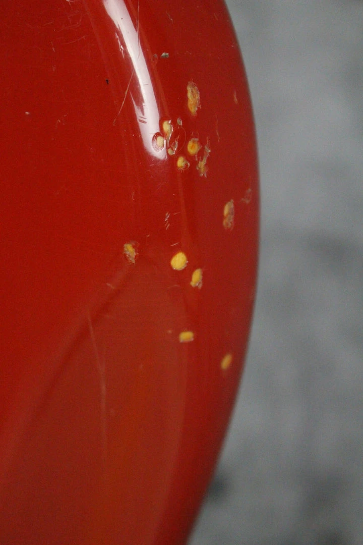 Discount ✔️ Empire Guitars 2001 Fender American Vintage '62 Reissue Jazz Bass 😍 8 Empire Guitars 2001 Fender American Vintage '62 Reissue Jazz Bass